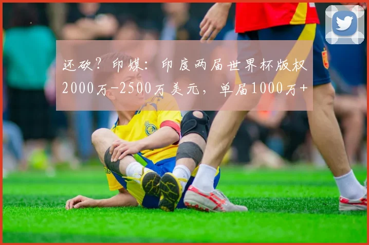 还砍？印媒：印度两届世界杯版权2000万-2500万美元，单届1000万+