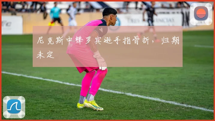 尼克斯中锋罗宾逊手指骨折,归期未定
