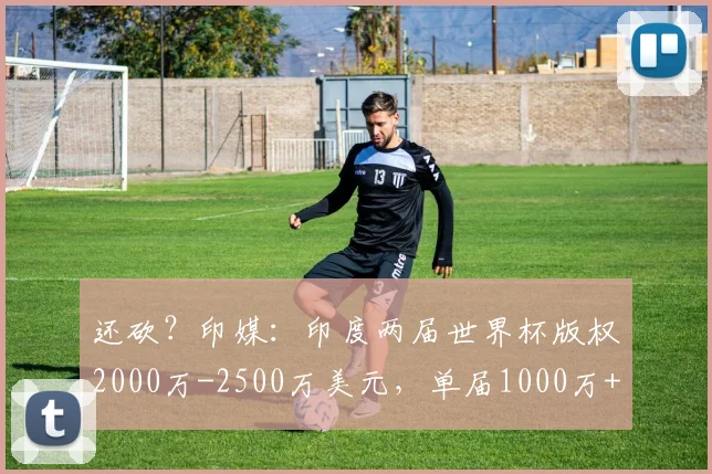 还砍？印媒：印度两届世界杯版权2000万-2500万美元，单届1000万+
