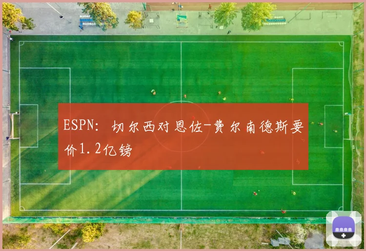ESPN：切尔西对恩佐-费尔南德斯要价1.2亿镑