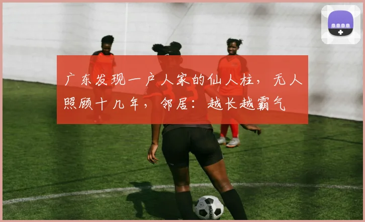 广东发现一户人家的仙人柱，无人照顾十几年，邻居：越长越霸气