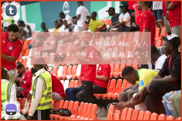 广东发现一户人家的仙人柱，无人照顾十几年，邻居：越长越霸气